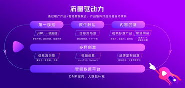seo1短视频网页入口营销