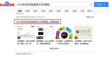 百度蜘蛛池引流:采菊蜘蛛池免费版，打造高效内容创作助手，助力自媒体成长