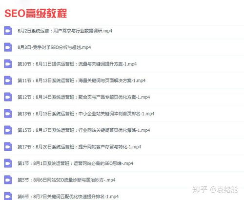 影视站seo教程