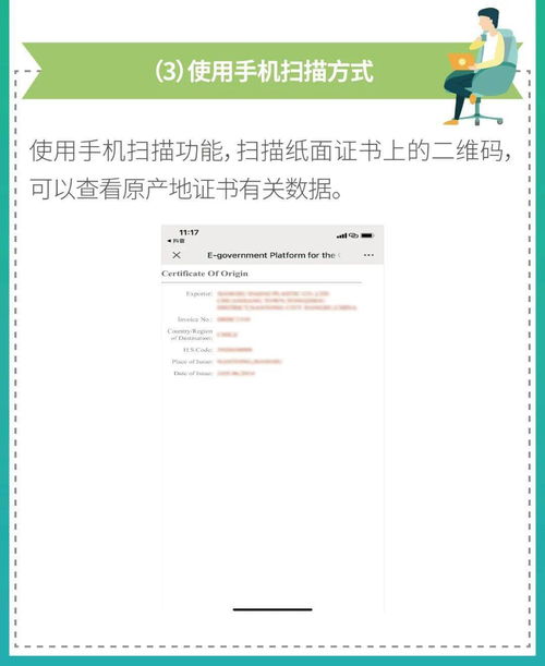 百度蜘蛛池出租:蜘蛛池创建指南，打造高效内容抓取系统的全攻略