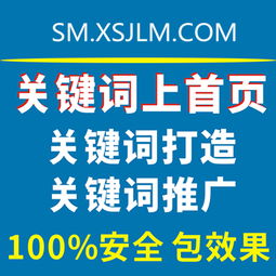 吴中seo网站优化软件