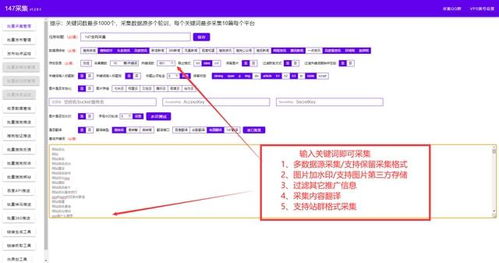 hx网站搭建