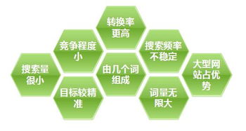 百度蜘蛛池优化:蜘蛛池的用法详解，打造高效网络营销利器