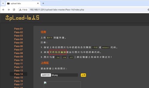 百度蜘蛛池效果:蜘蛛矿池关了吗？揭秘矿池关闭背后的原因及影响