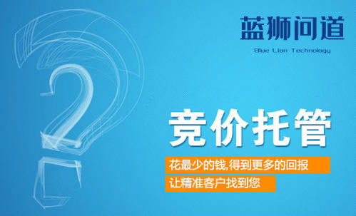 网站竞价推广托管公司