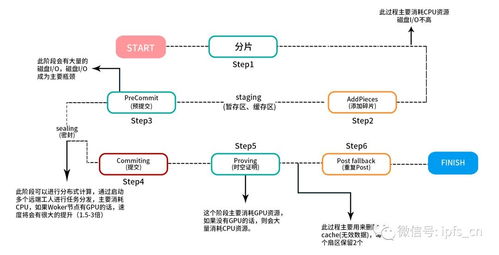 百度蜘蛛池出租:蜘蛛矿池支付记录揭秘，矿工收益透明化之路
