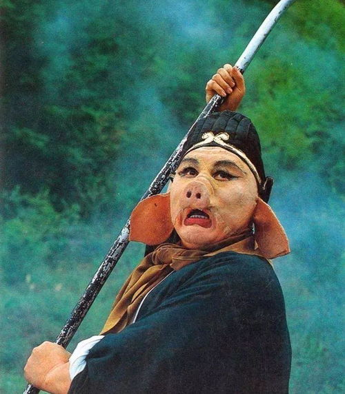 百度蜘蛛池出租:猪八戒进蜘蛛池的奇幻冒险，揭秘西游记经典剧集背后的故事