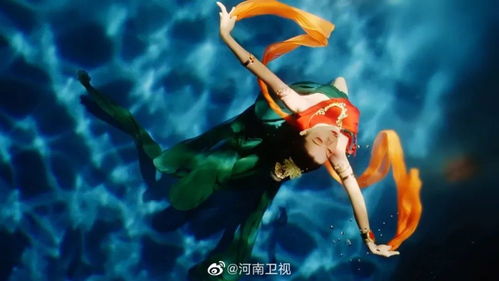 百度蜘蛛池价格:微视引蜘蛛池，新媒体时代下的流量新玩法