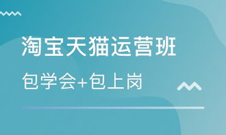 网站运营培训学校