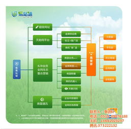 搜索引擎优化的主要特征