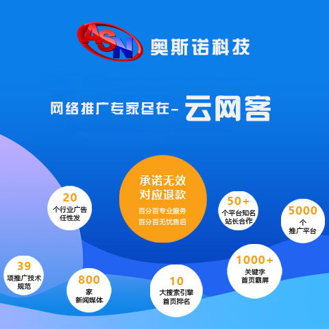 网络优化公司排名