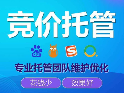 竞价托管专业公司