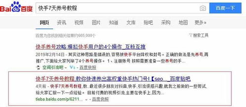 快速网站轻松排名