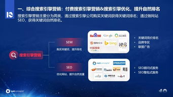seo网站分析报告