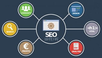seo推广优化公司哪家好