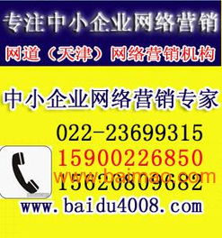 关键词优化排名公司