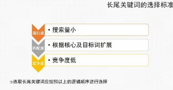 优化推广排名网站教程