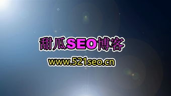 木卢seo教程