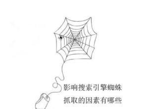 百度蜘蛛池引流:警惕蜘蛛池的危害，揭示网络黑幕的卡通图警示