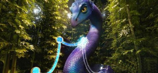 百度蜘蛛池优化:2020小熊猫蜘蛛池，探索神秘生态世界的奇妙之旅