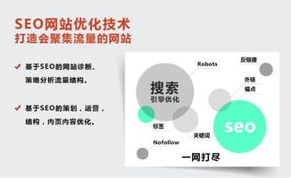 seo快速排名服务