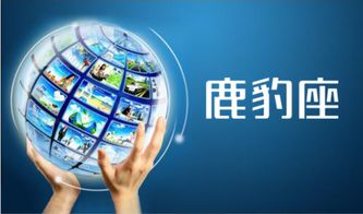 网络营销方案3000字