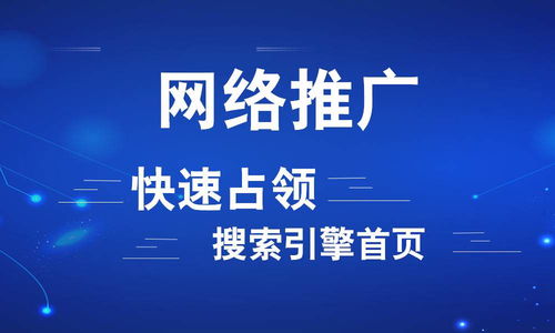 北京seo网站推广