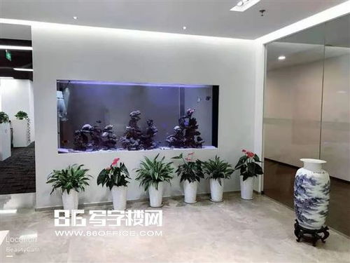百度蜘蛛池租用:蜘蛛池出租与购买，高效网络资源获取的双向选择