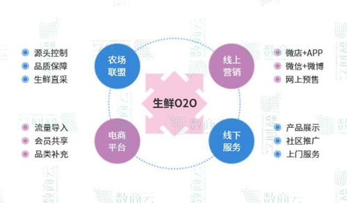 电商运营平台