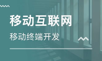 网站开发工程师