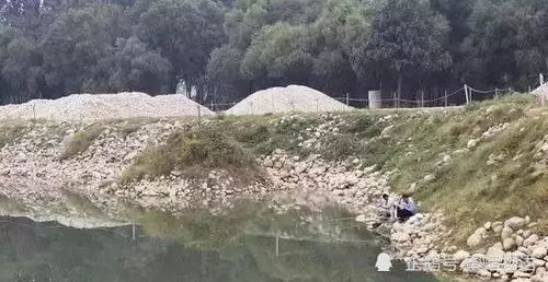 百度蜘蛛池咨询:三明蜘蛛池，探寻福建深山中的神秘之地