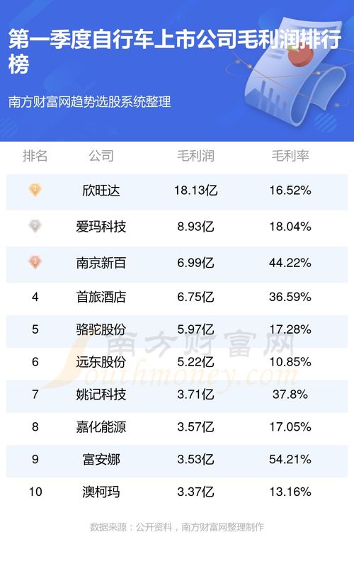 排名前十的网站