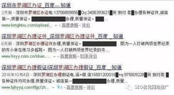 百度蜘蛛池出租:揭秘站群蜘蛛池系统，高效内容采集与信息抓取的秘密武器
