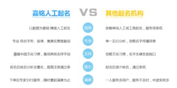 起名最好的网站排名