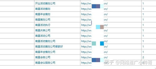 网站seo策划方案案例分析