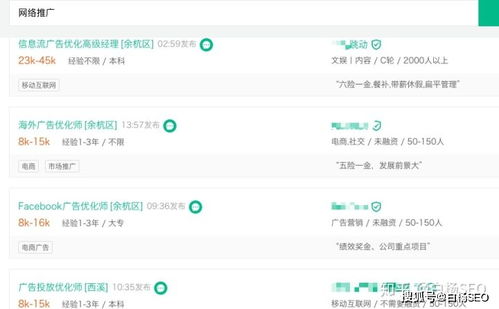 网站seo专员