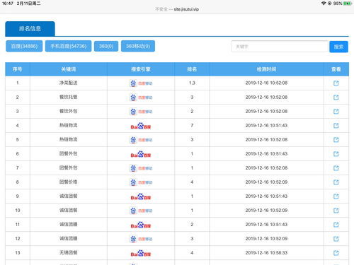 seo优化大公司排名