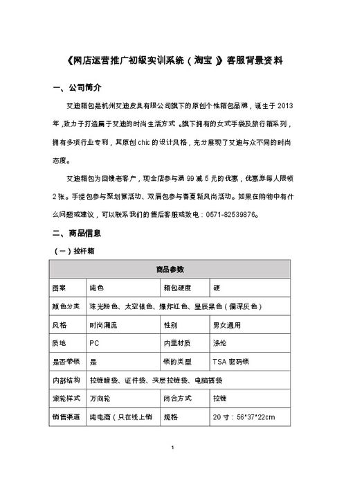网店推广实训报告