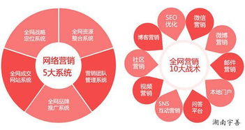 长沙全网推广