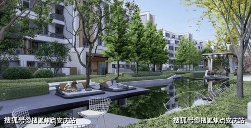 百度蜘蛛池咨询:蜘蛛池哪家好用？价格揭秘！