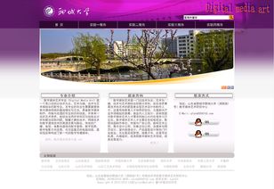 网页设计实训报告