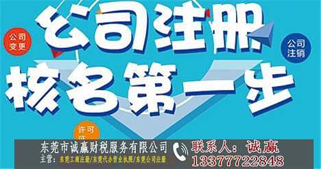东莞网络公司代理