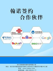 哈尔滨网站推广