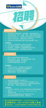 招聘网络推广专员