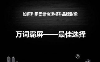成都seo论坛