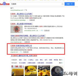 seo实战技术培训