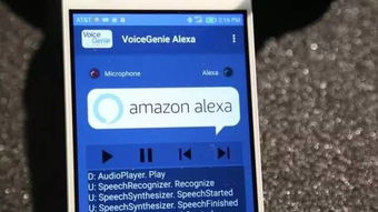 alexa语音助手