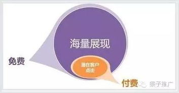 网站优化推广是什么