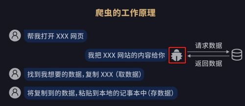 百度蜘蛛池价格:蜘蛛池HH扌云速捷，揭秘高效网络爬虫技术