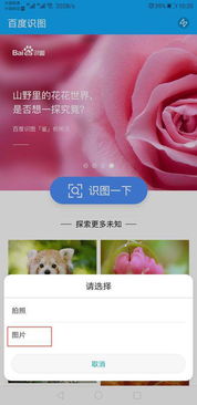 拍照搜索百度识图